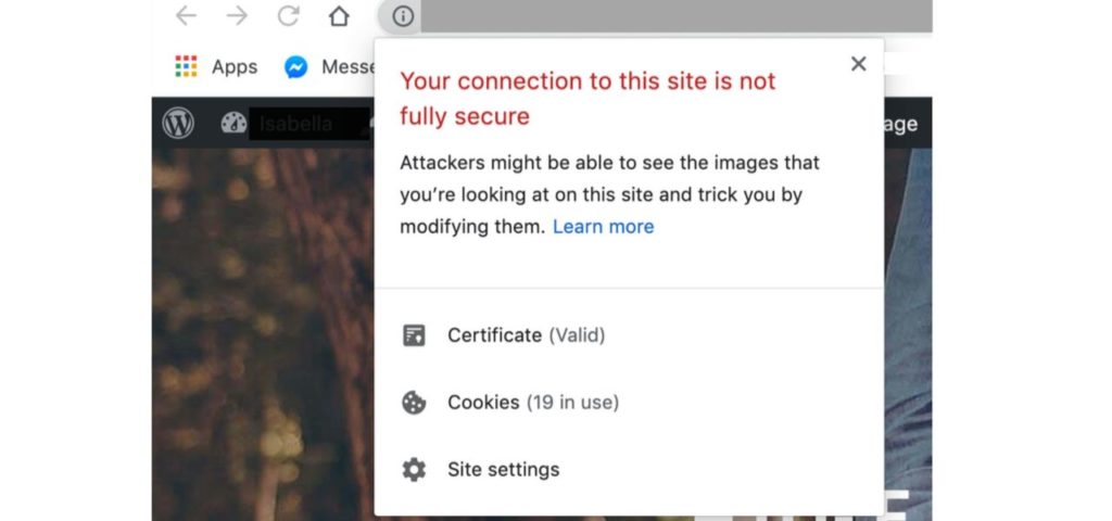 What Visitors See When No SSL Certificates are present