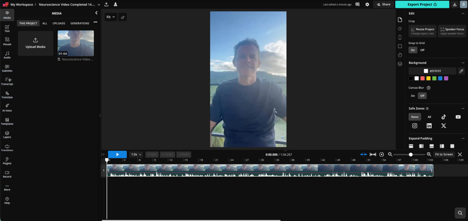 Kapwing User Interface for Video Editing